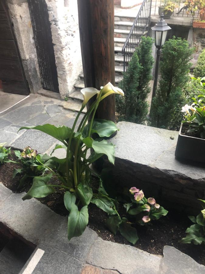 Garni Degli Angioli Hotell Ascona Eksteriør bilde